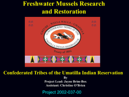 Freshwater Mussels Research and Restoration