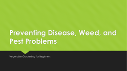 Preventing Disease, Weed, and Pest Problems