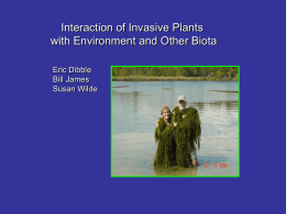 Interaction of Invasive Plants