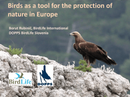 Birds as a tool for protection of nature in Europe