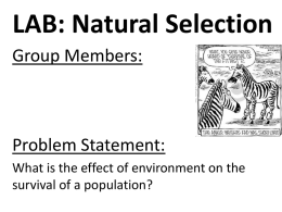 APES Natural Selection Lab Report Formatx