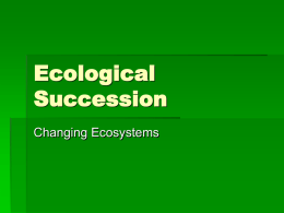 Ecology 4 Succession Ppt