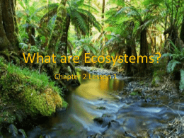 What are Ecosystems?