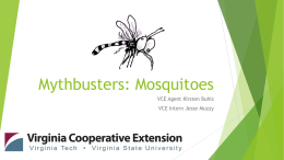 Mythbusters: Mosquitos - arlingtonmasternaturalists
