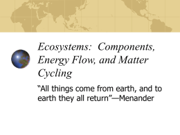 Ecosystems: Components, Energy Flow, and Matter