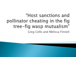 Host sanctions and pollinator cheating in the fig tree