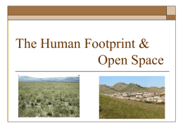 Fragmentation, Subdivision, and Open Space