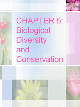 CHAPTER 5: Biological Diversity and Conservation