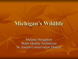 Pesticides and Wildlife - Michigan Water Stewardship Program