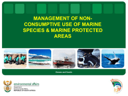 Non consumptive use of marine species
