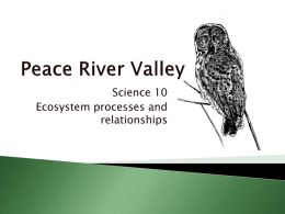 Peace River Valley