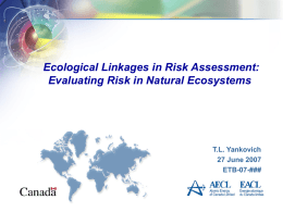 Ecological Linkages in Risk Assessment: Evaluating