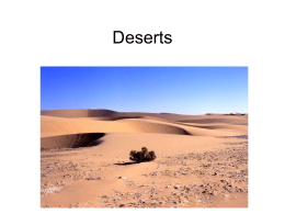 Desert 2 - sabresocials.com