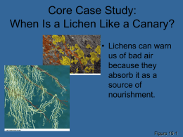 Core Case Study: When Is a Lichen Like a Canary?