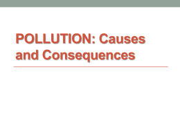 Pollution Causes and Consequences