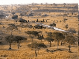 Savanna Grassland- Climate and Weather - tbrown10