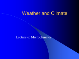 Microclimates - GEOCITIES.ws
