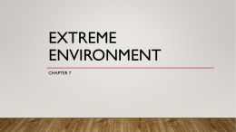 Extreme Environment - Miami Beach Senior High School
