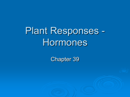 Plant_Responses_