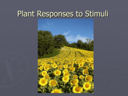 Chapter 15 Plant Responses to Stimuli