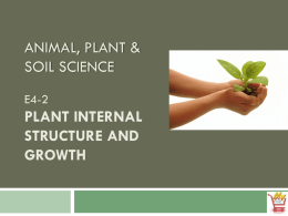 Plant Structure and Growth