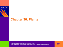 36-3 Origin of plants