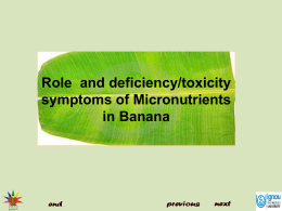 Role and Deficiency / toxicity Symptoms of Micro Nutrients in Banana