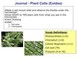 Botany Journal