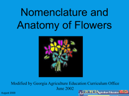Nomenclature and Physiology of Flowers