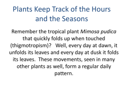 Plants Keep Track of the Hours and the Seasons