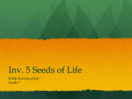 Inv. 5 Seeds of Life