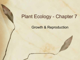Plant Ecology - Chapter 7