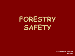 FORESTRY SAFETY