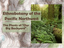 Plants of the Pacific Northwestx