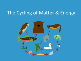 Cycling of Matter