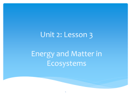 Unit 2 Lesson 3 Teacher Notesx