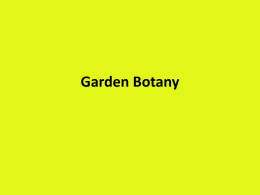 Garden Botany (x)