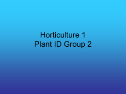 Horticulture 1 Plant ID Group 3