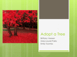 Adopt a Tree, Brittany Emily ML