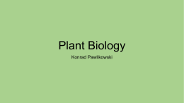 Topic 9 Plant Biology
