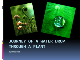 Journey of a Waterdrop