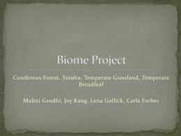 Biome Project - purdyplatypus