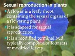 Sexual reproduction in plants - IGCSECoordinatedScience-Dnl