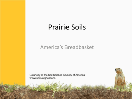 Prairie Soils