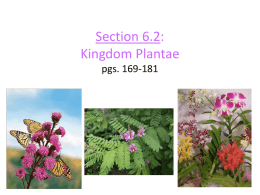 Section 6.2: Kingdom Plantae pgs. 169-181