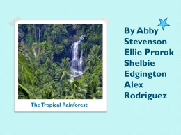 The Tropical Rainforest (Abby, Shelbie, Alex, Ellie)