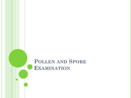 Pollen and Spore Examination