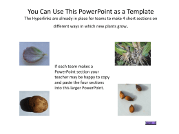 You Can Use This PowerPoint as a Template