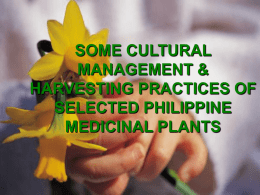 some cultural management & harvesting practices of selected