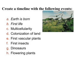Plant land colonization PPT